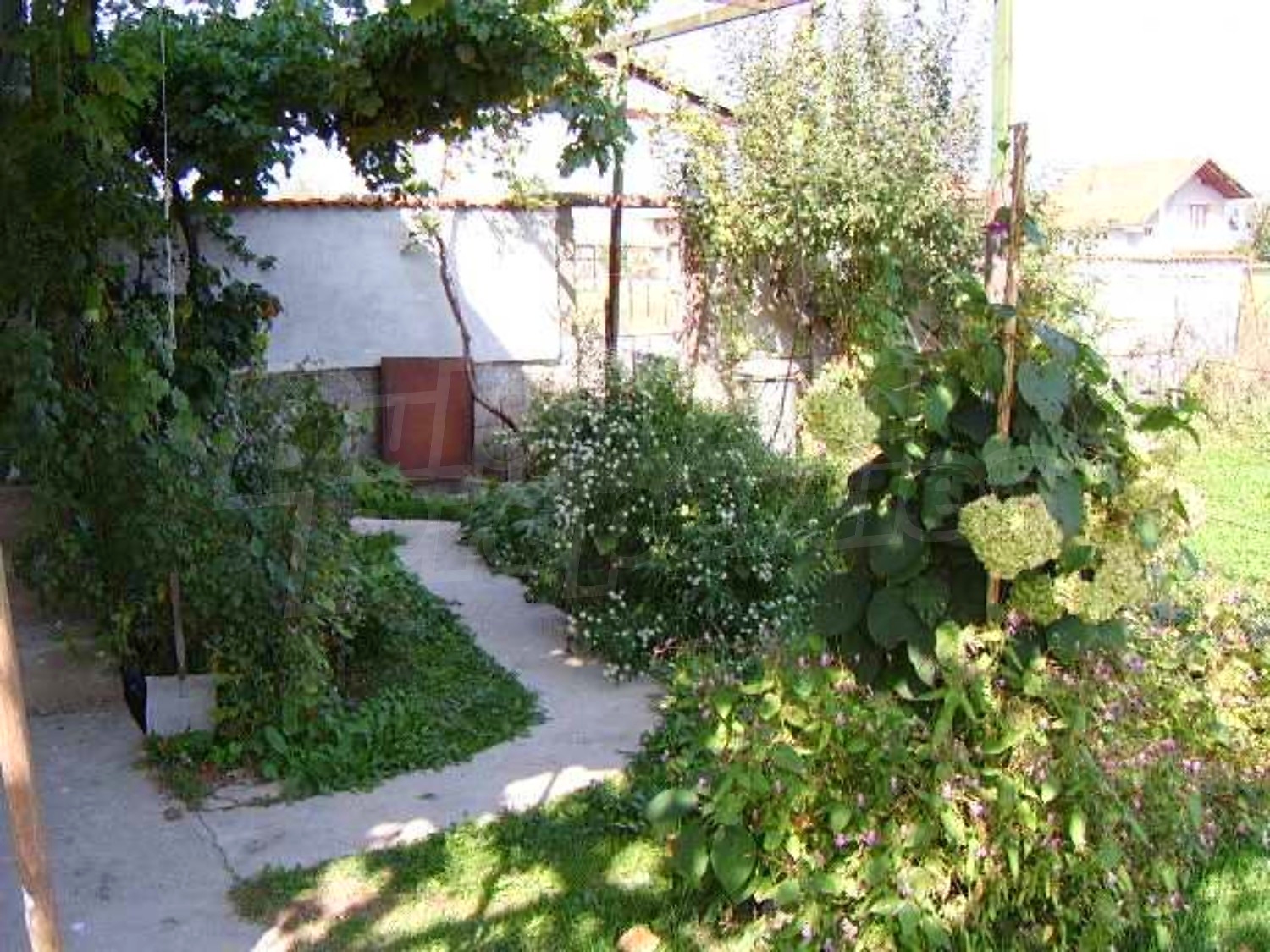 Gallery Picture 14