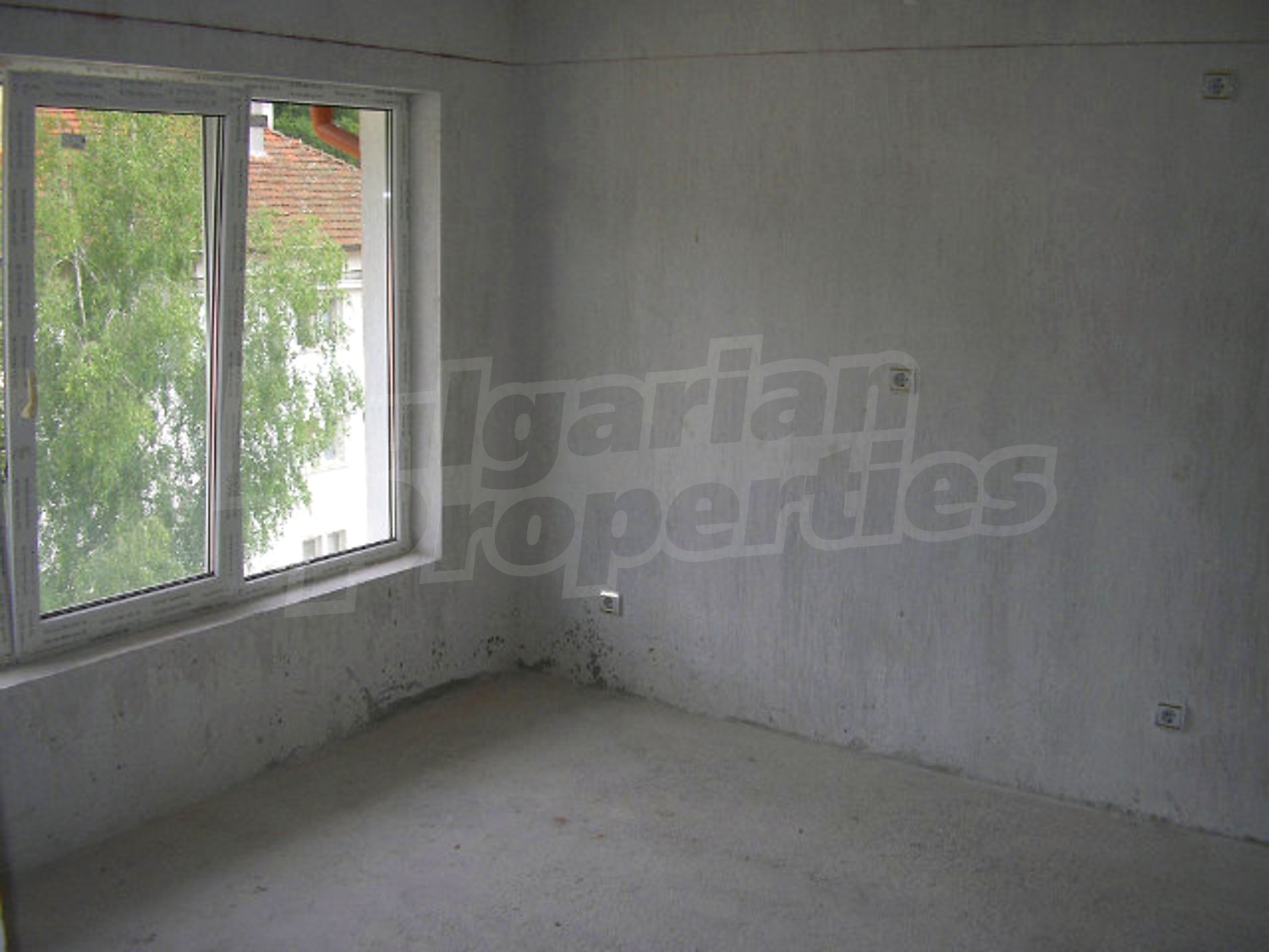 Gallery Picture 18