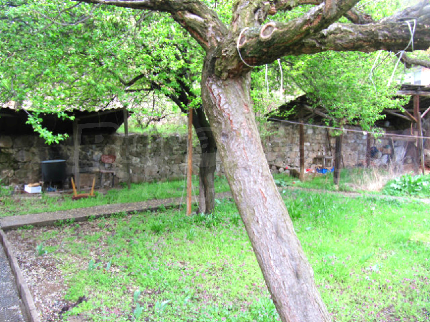 Gallery Picture 11