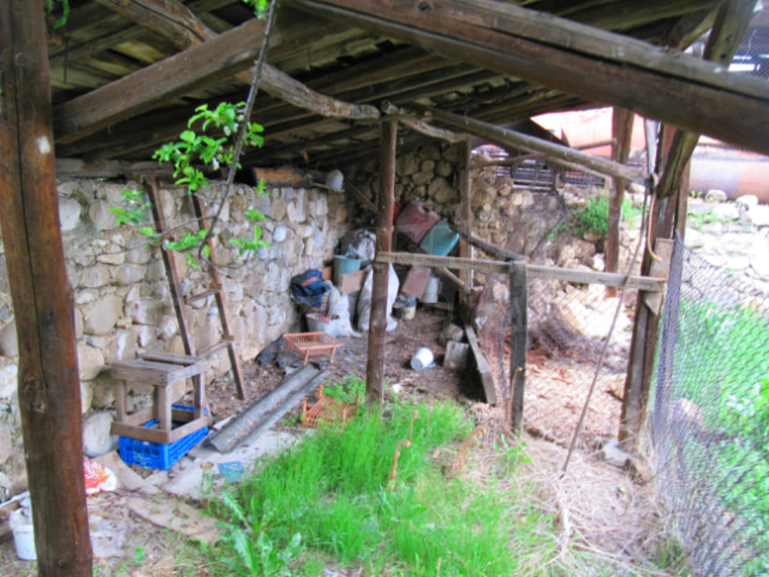 Gallery Picture 14