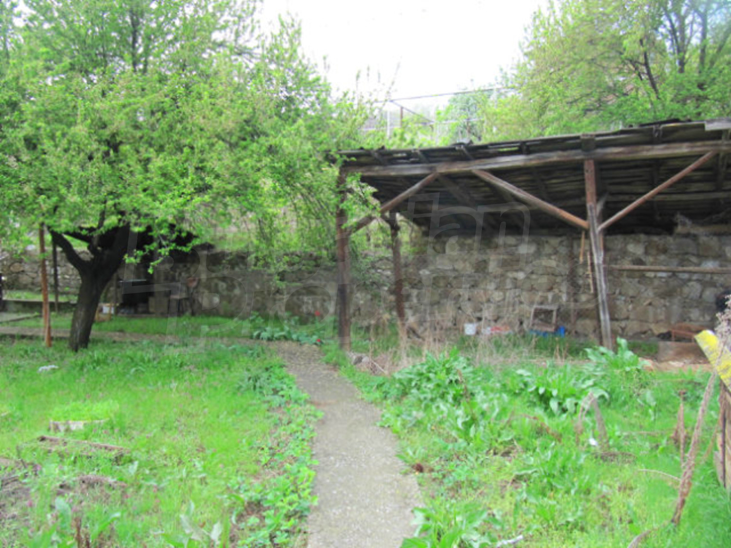 Gallery Picture 19