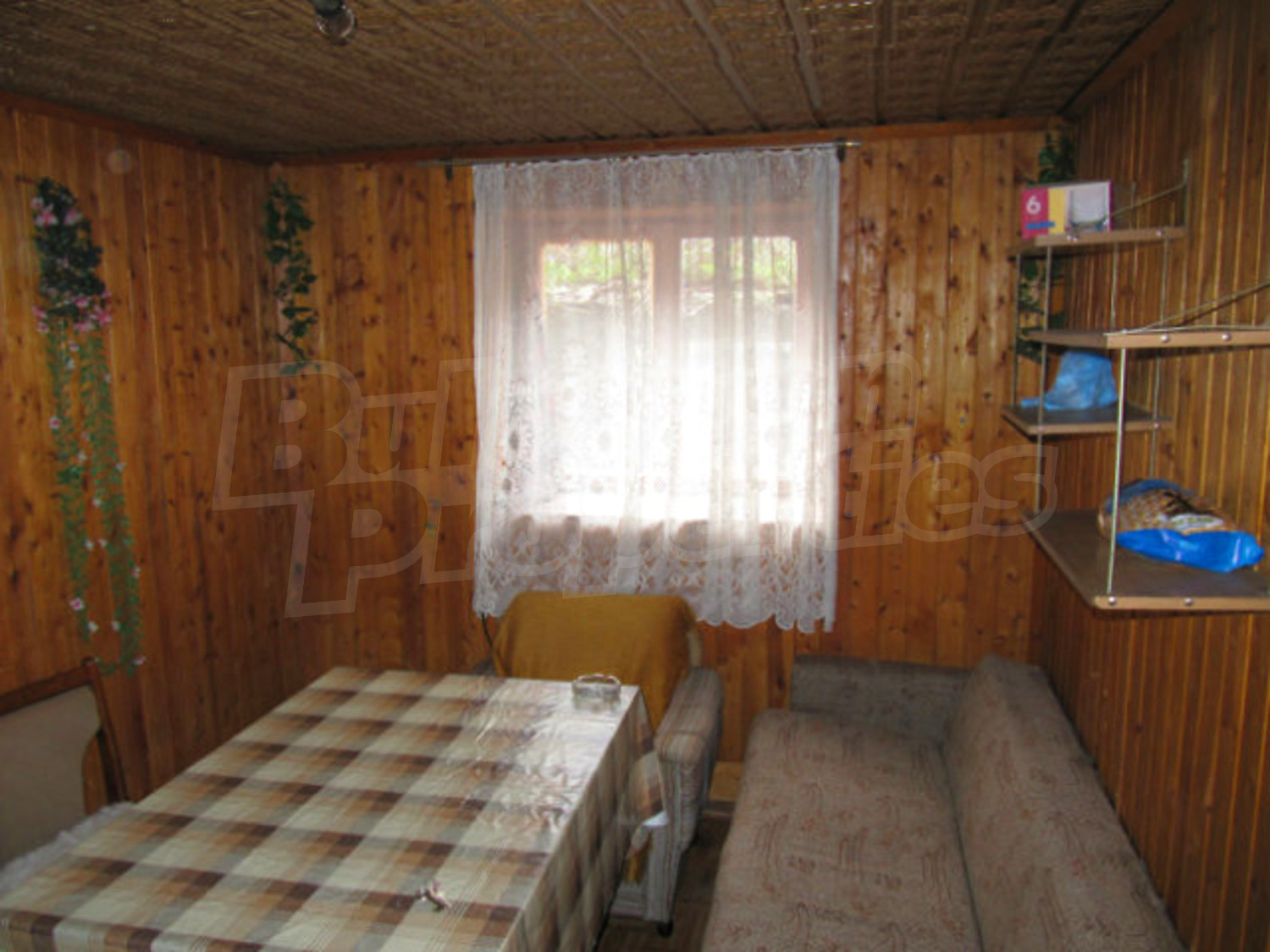 Gallery Picture 21