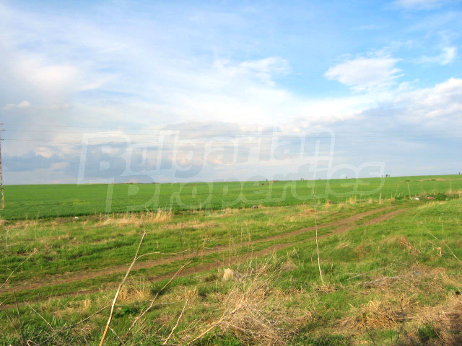 Gallery Picture 22