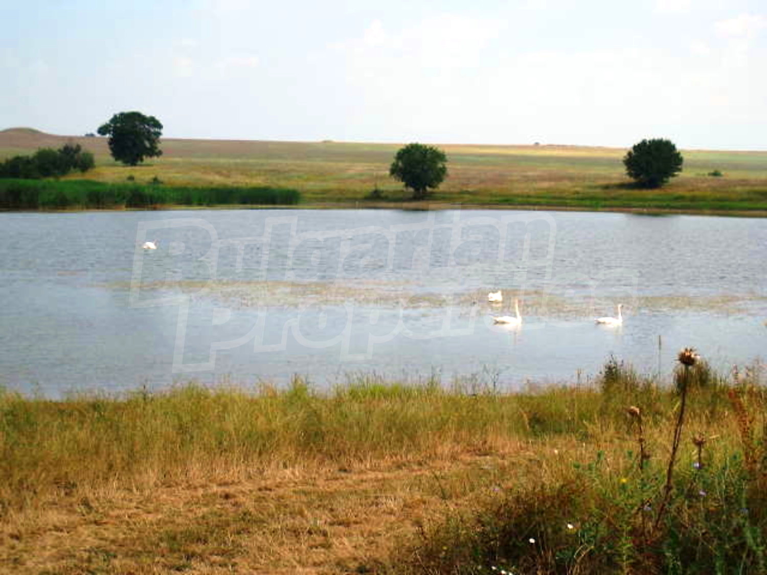 Gallery Picture 11