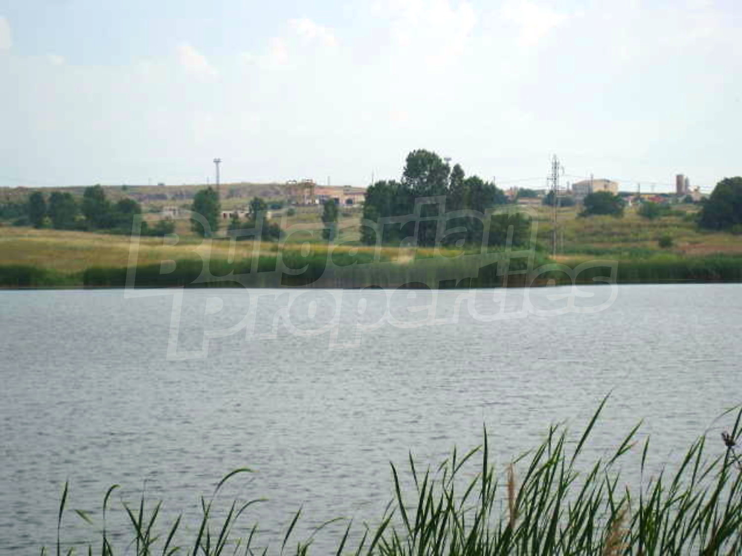 Gallery Picture 13