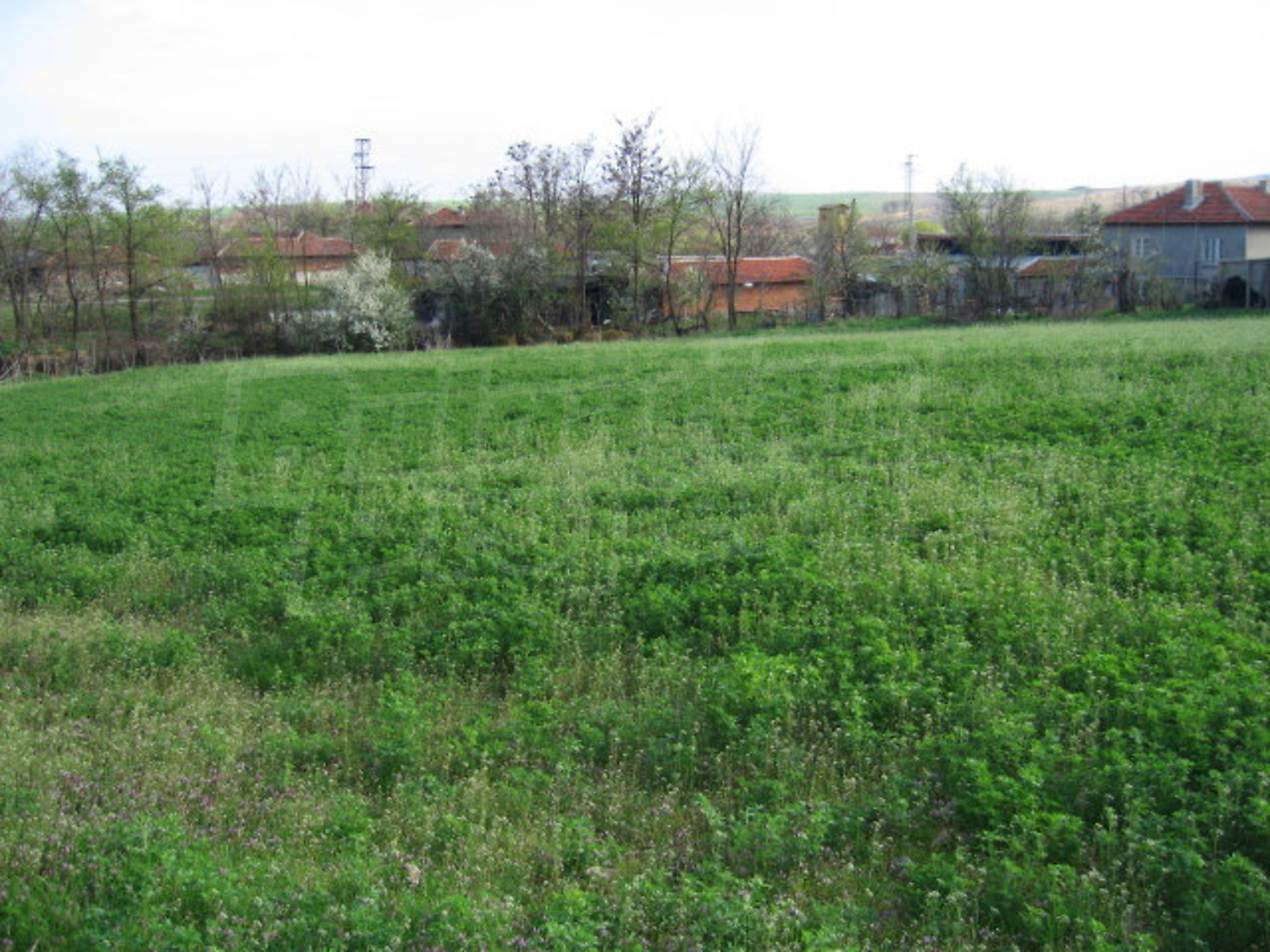 Gallery Picture 10