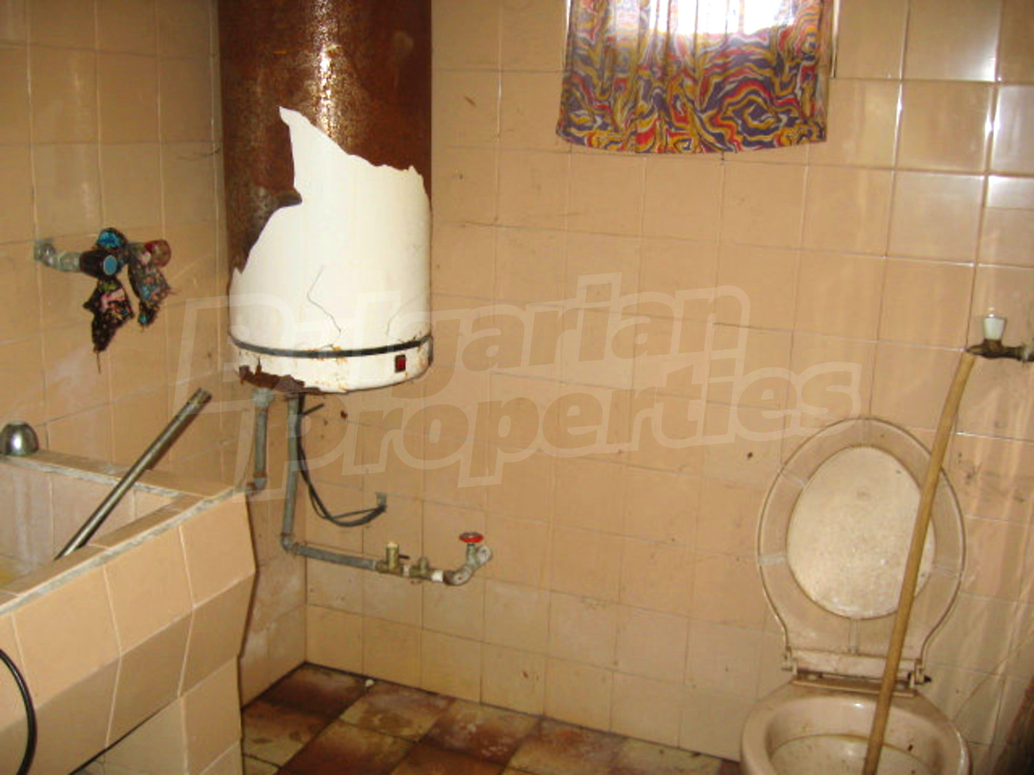 Gallery Picture 19