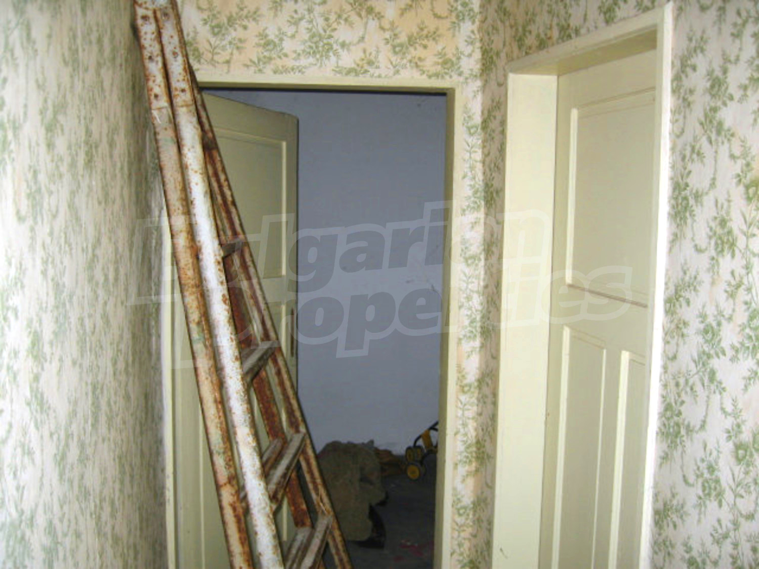 Gallery Picture 23