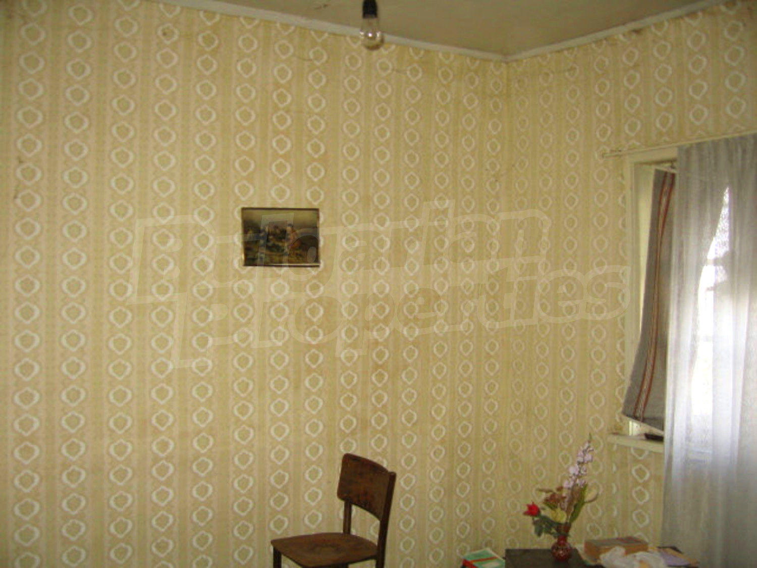 Gallery Picture 24