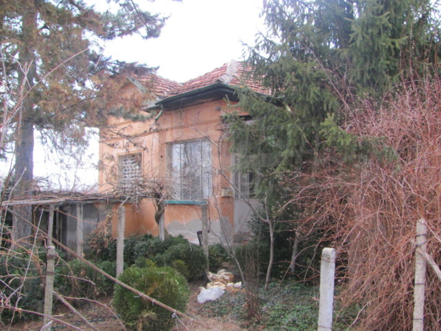 Gallery Picture 11