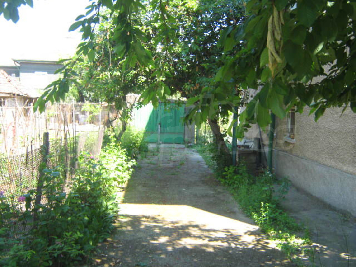 Gallery Picture 14