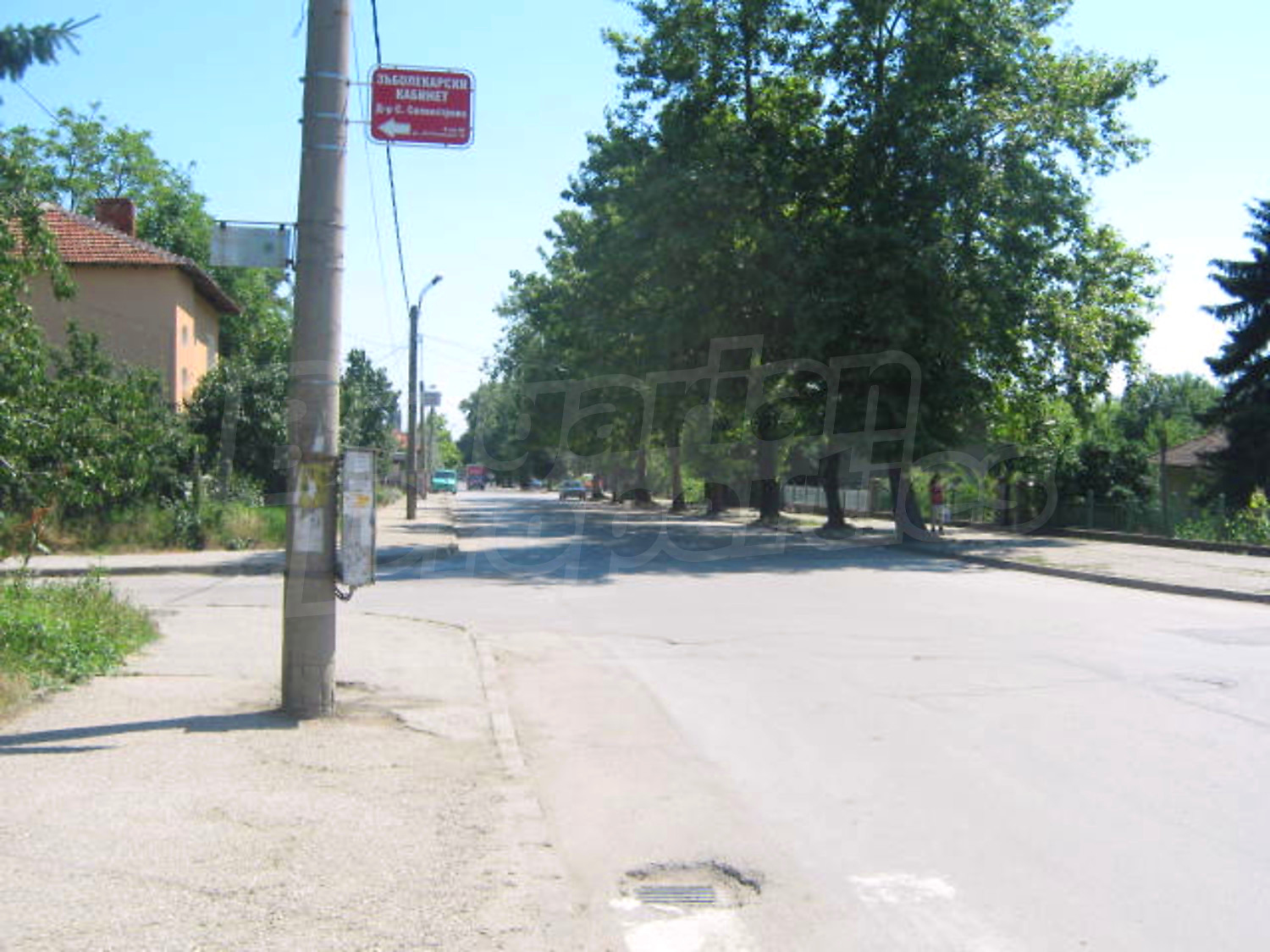Gallery Picture 16