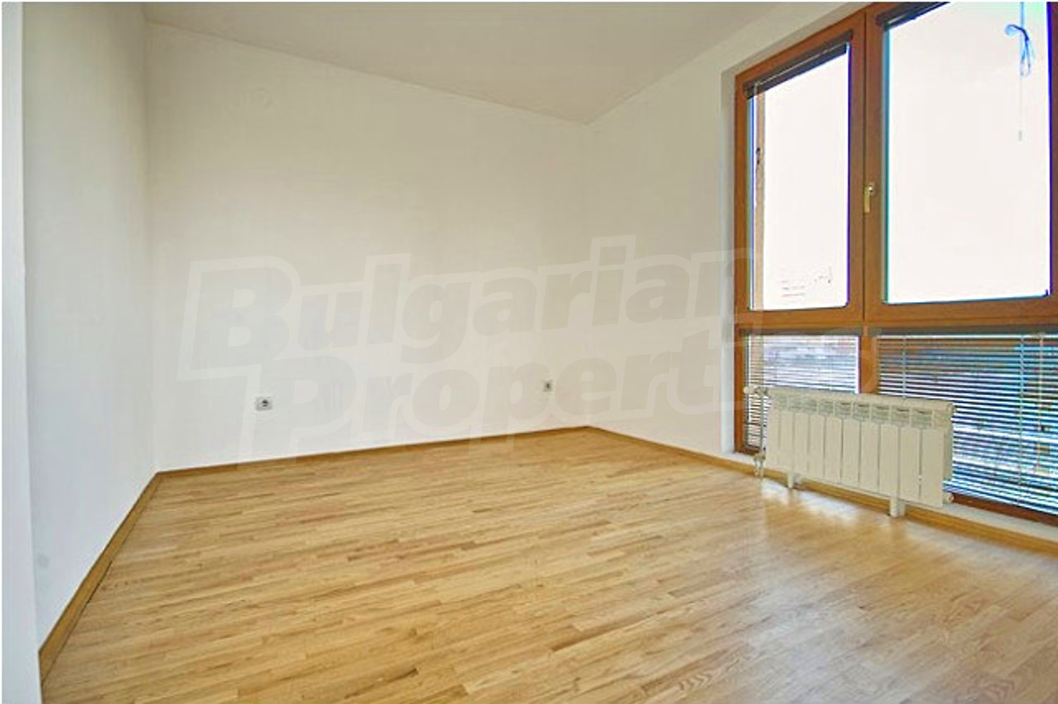 Gallery Picture 10