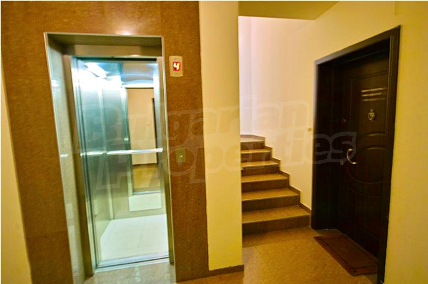Gallery Picture 16