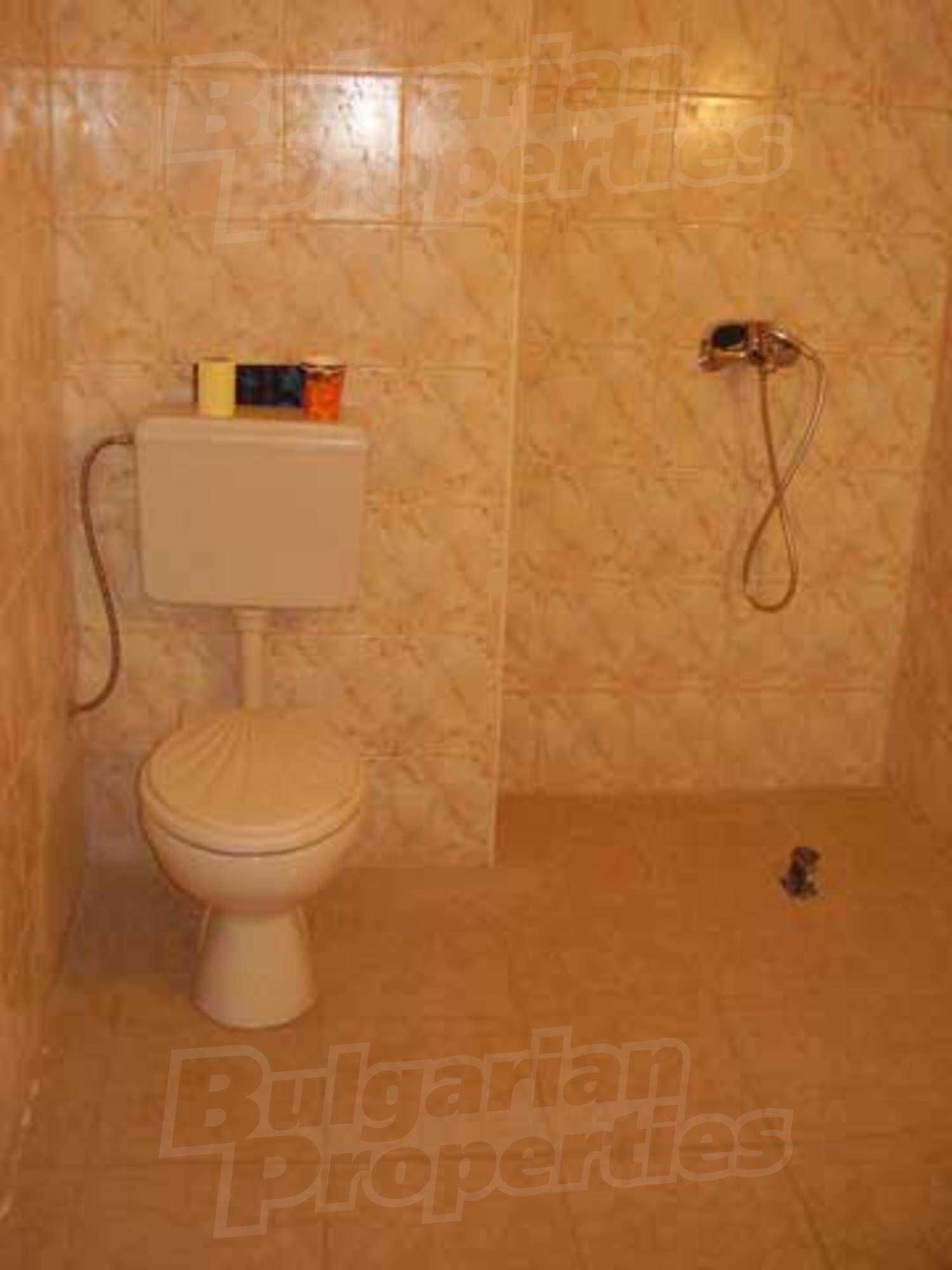 Gallery Picture 6