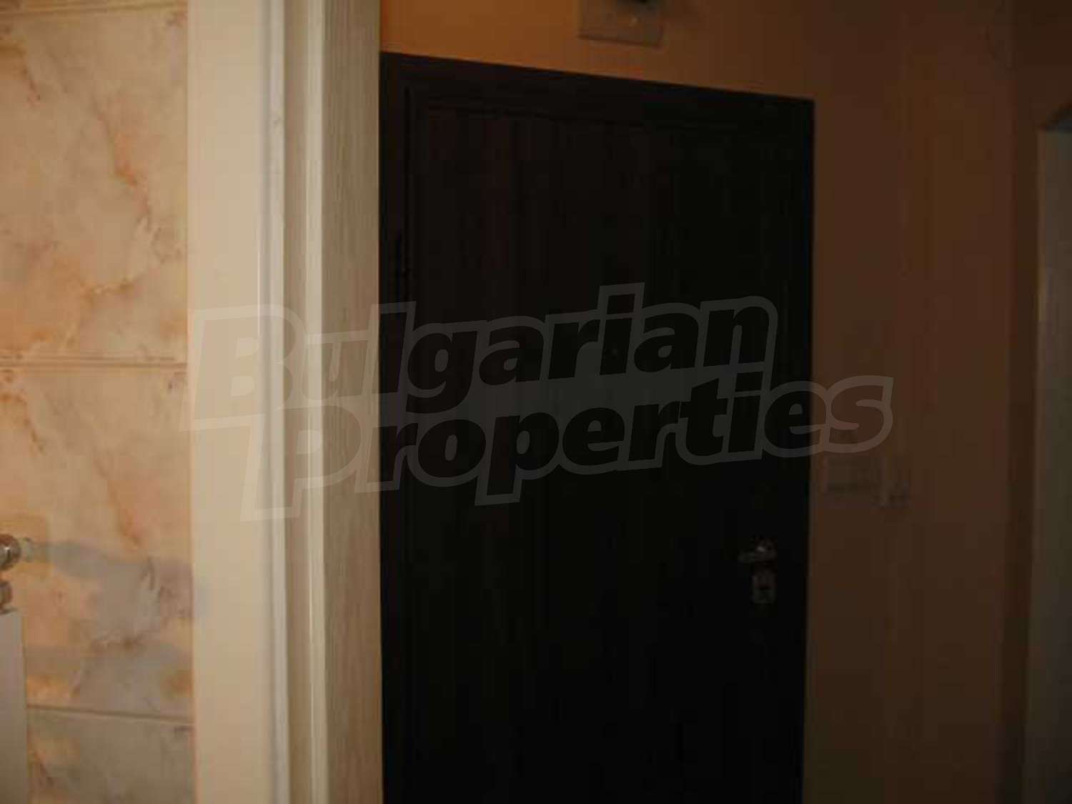 Gallery Picture 7