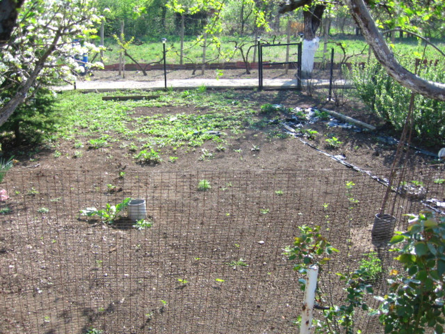 Gallery Picture 10