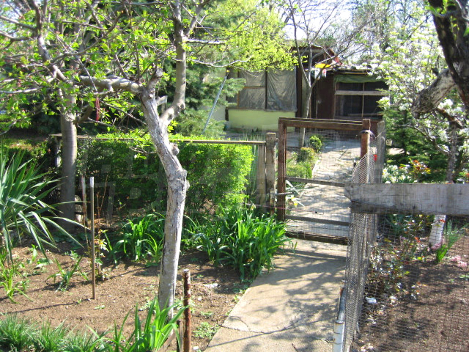 Gallery Picture 11