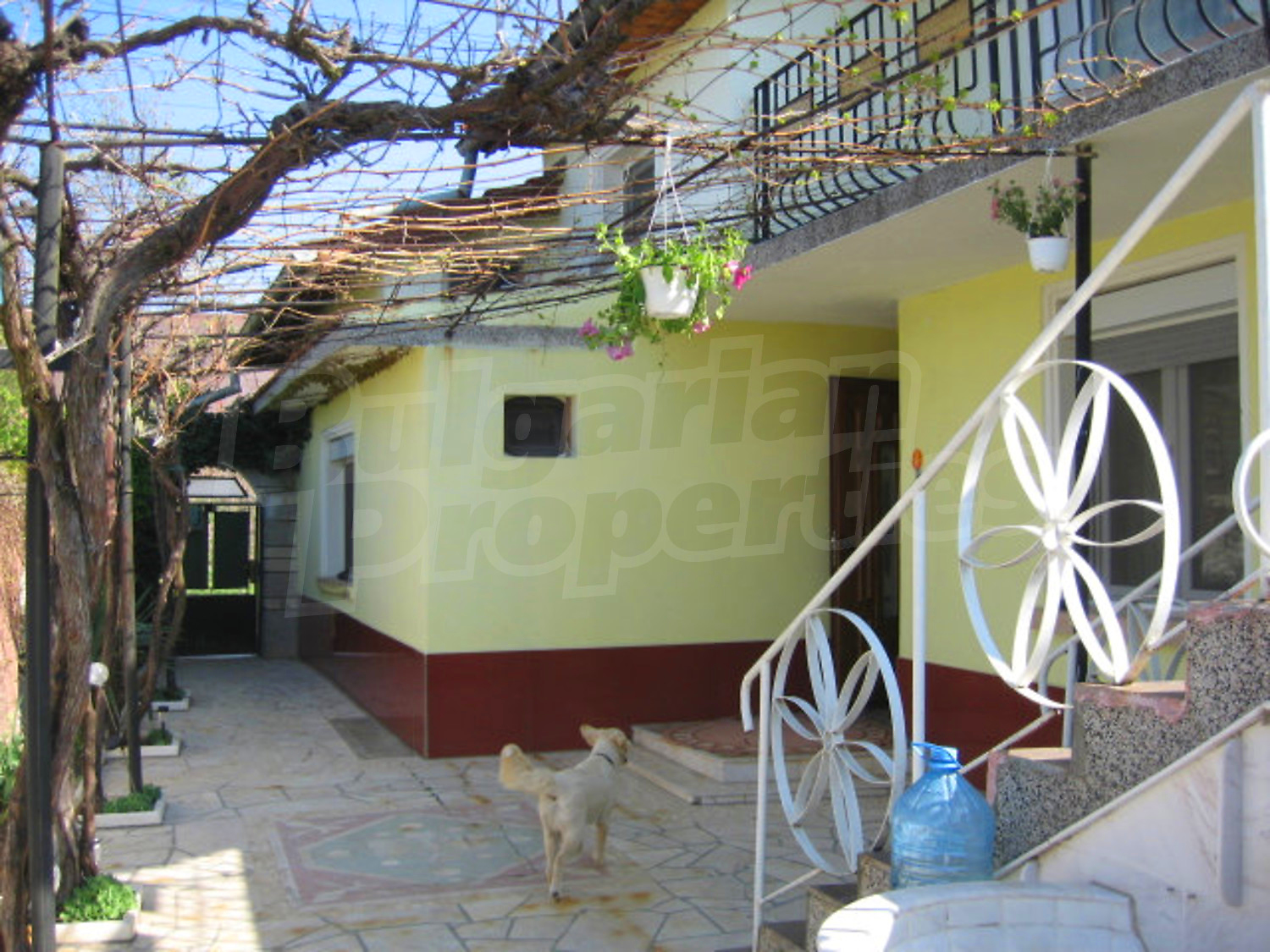 Gallery Picture 17