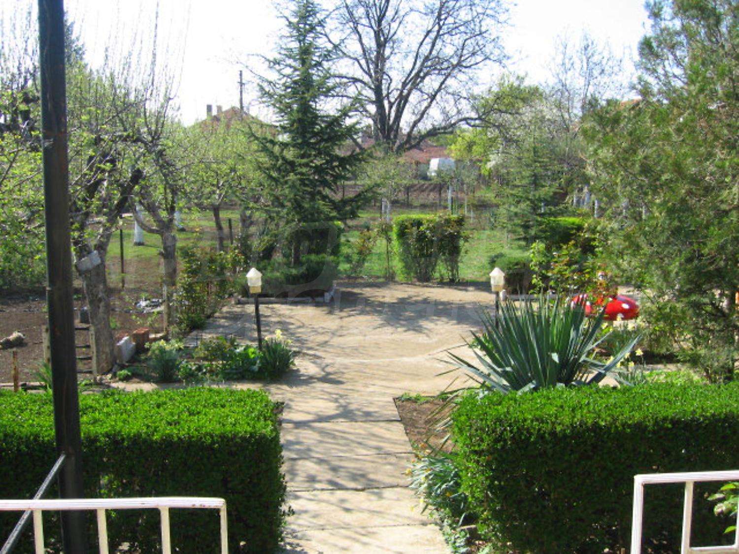 Gallery Picture 19