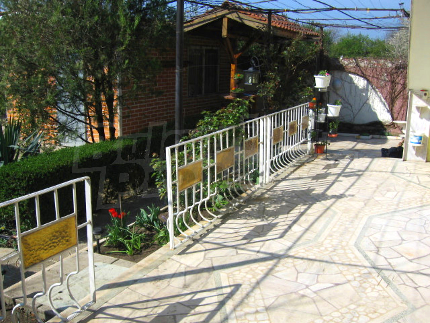 Gallery Picture 21