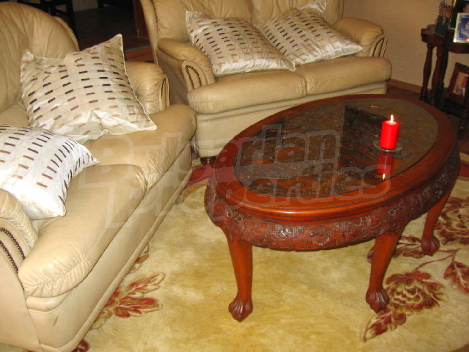 Gallery Picture 41