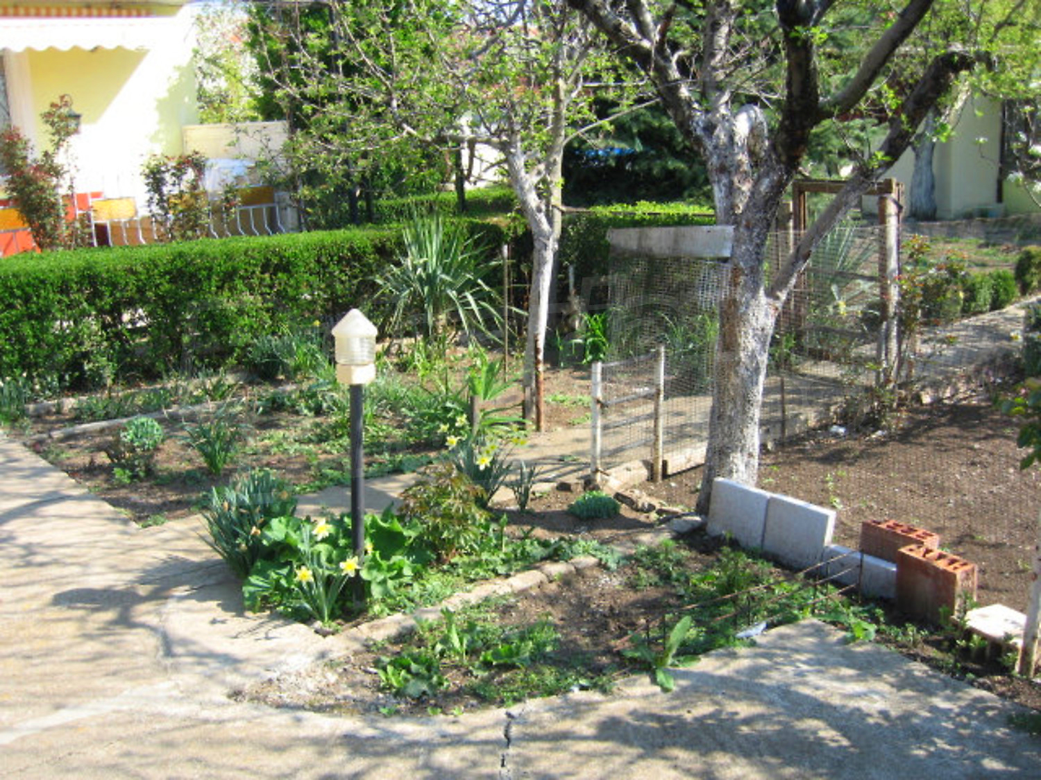 Gallery Picture 5