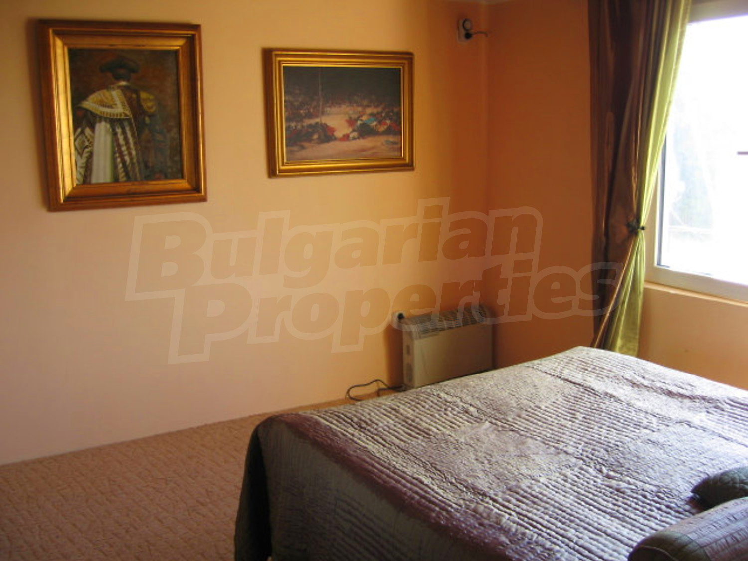 Gallery Picture 56