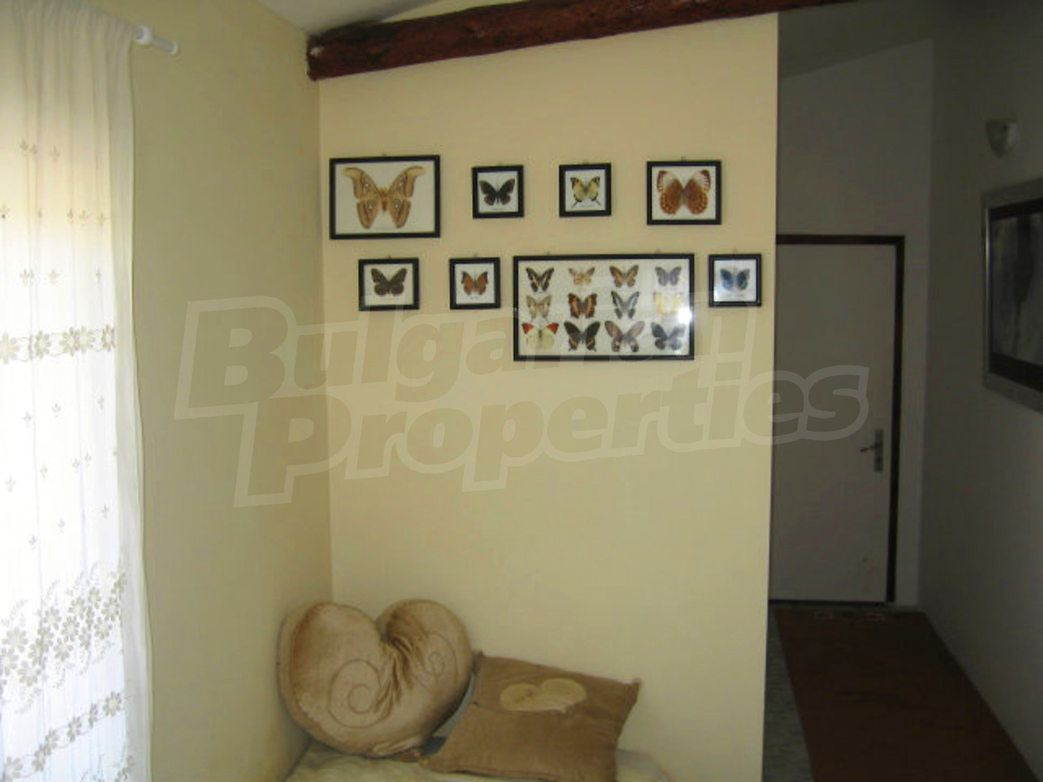Gallery Picture 58
