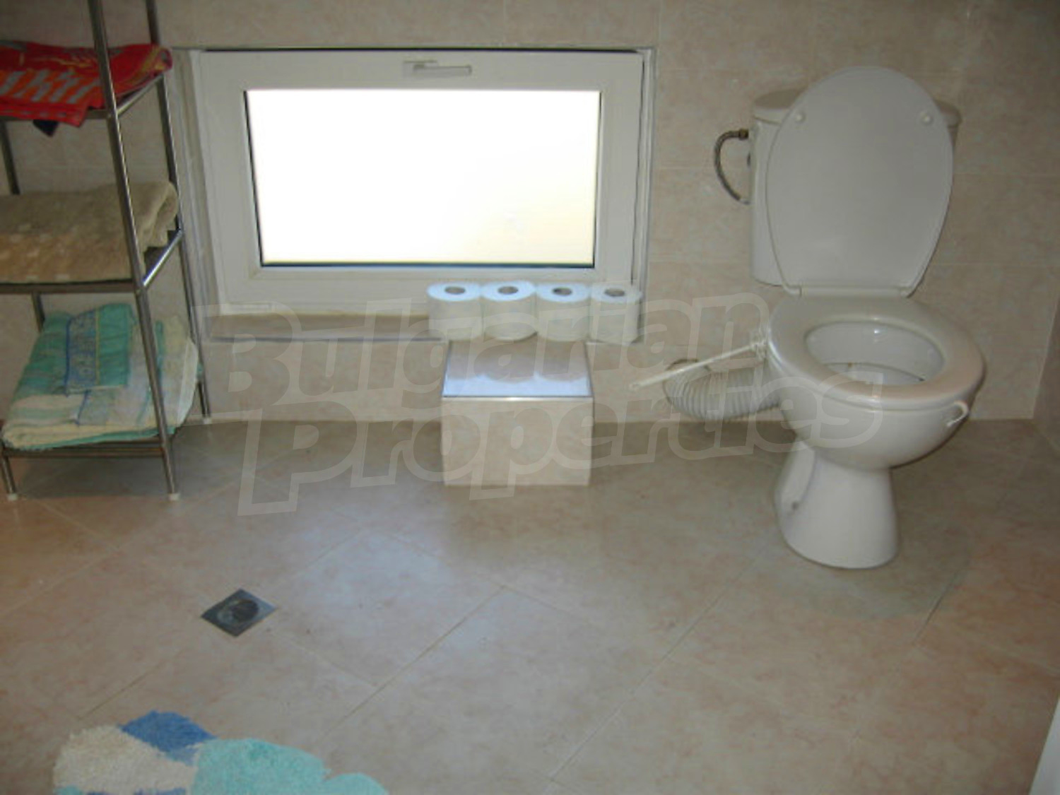 Gallery Picture 60