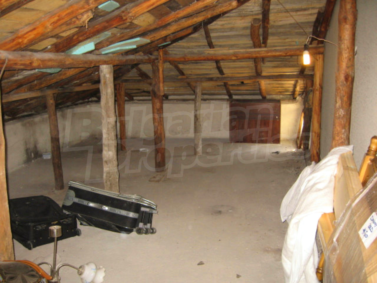 Gallery Picture 61