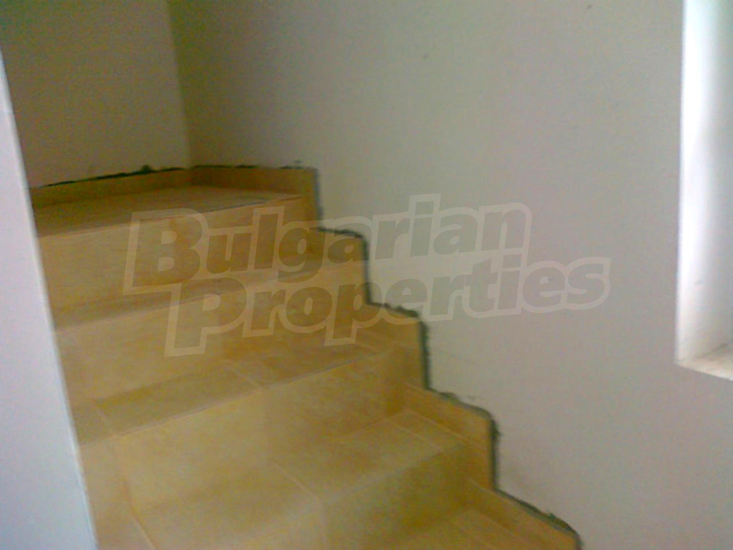 Gallery Picture 5