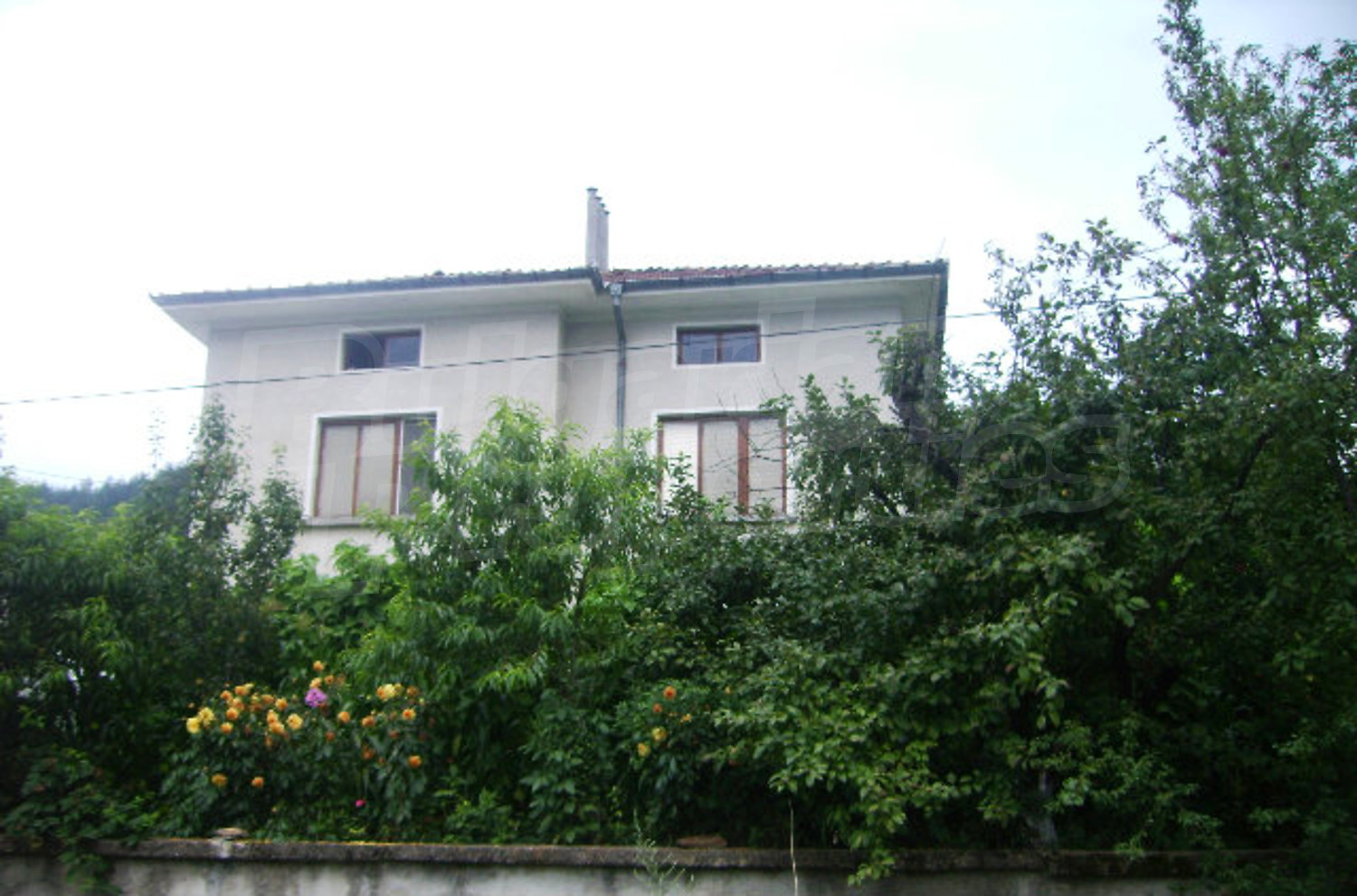 Gallery Picture 18