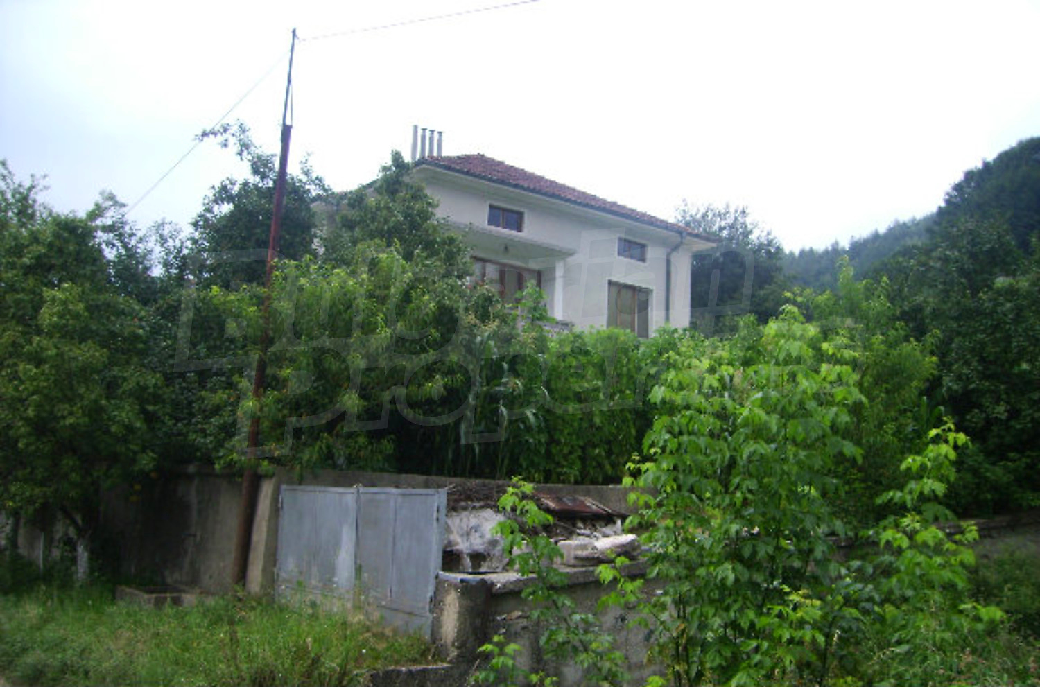 Gallery Picture 19