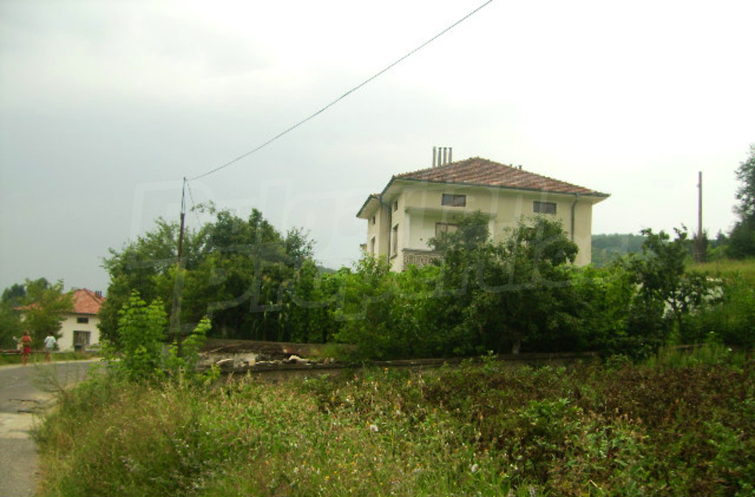 Gallery Picture 20