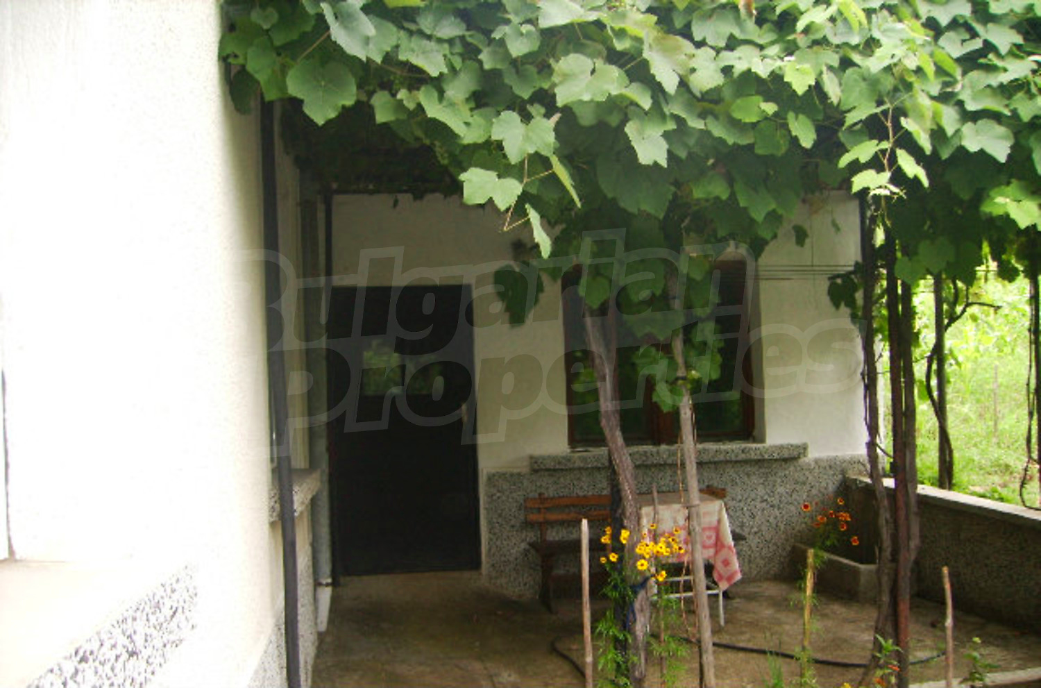 Gallery Picture 21