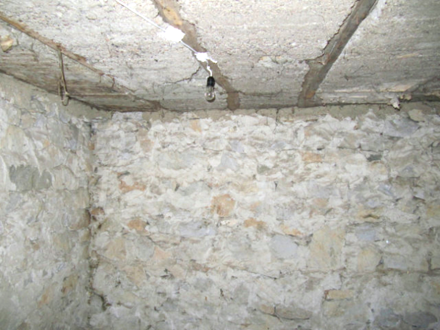 Gallery Picture 28
