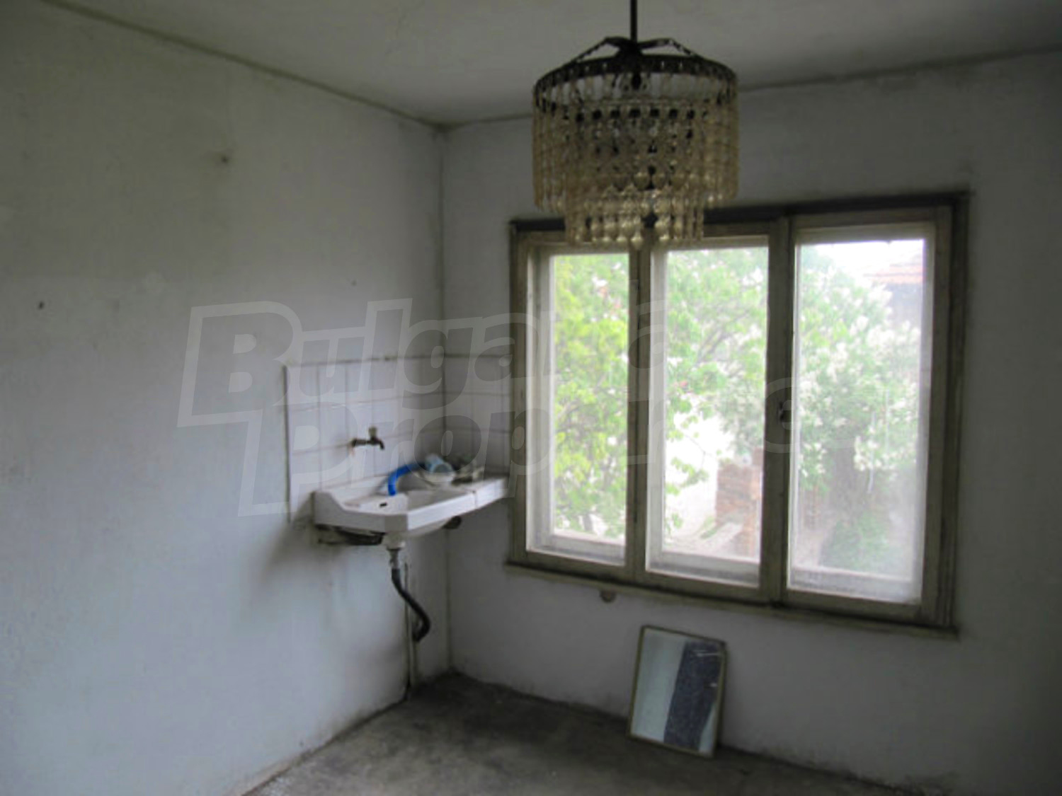 Gallery Picture 35