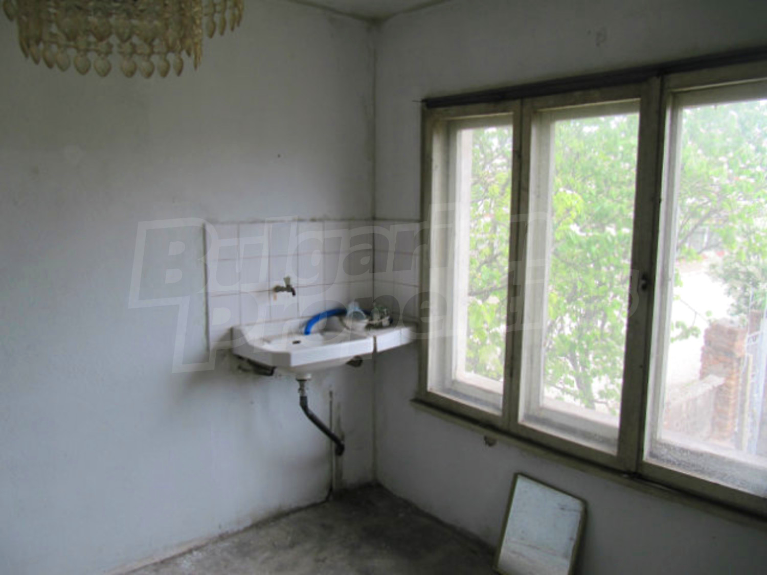 Gallery Picture 36