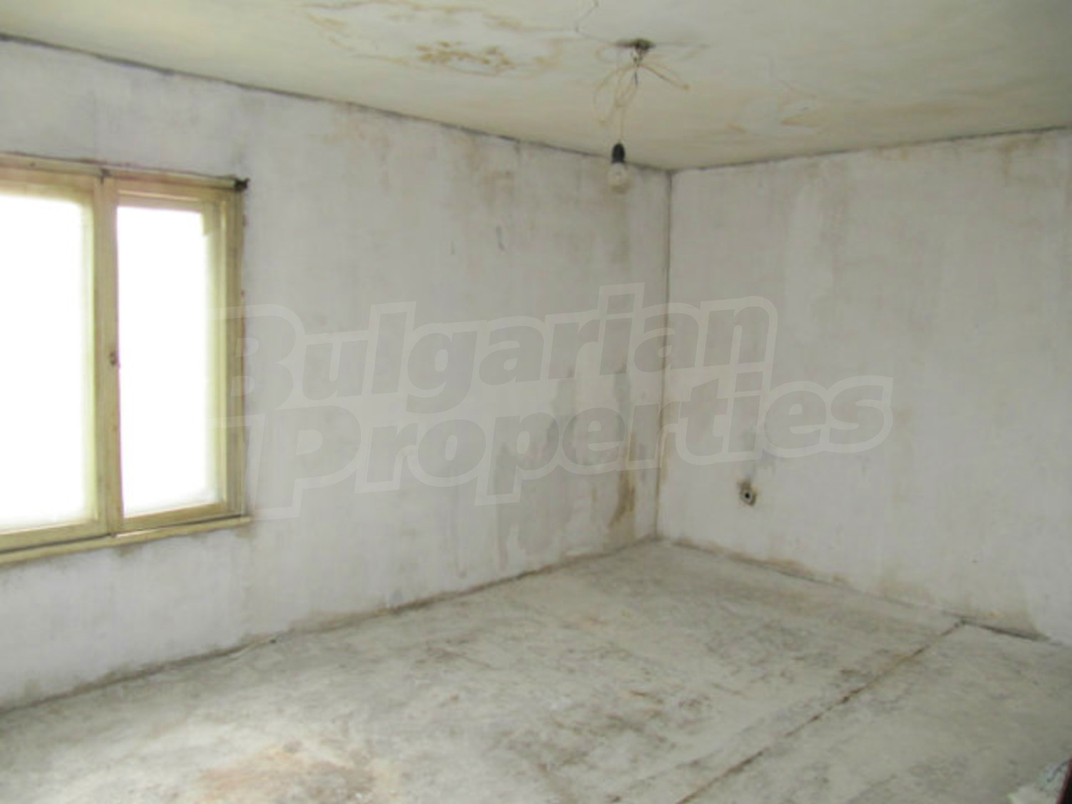 Gallery Picture 37
