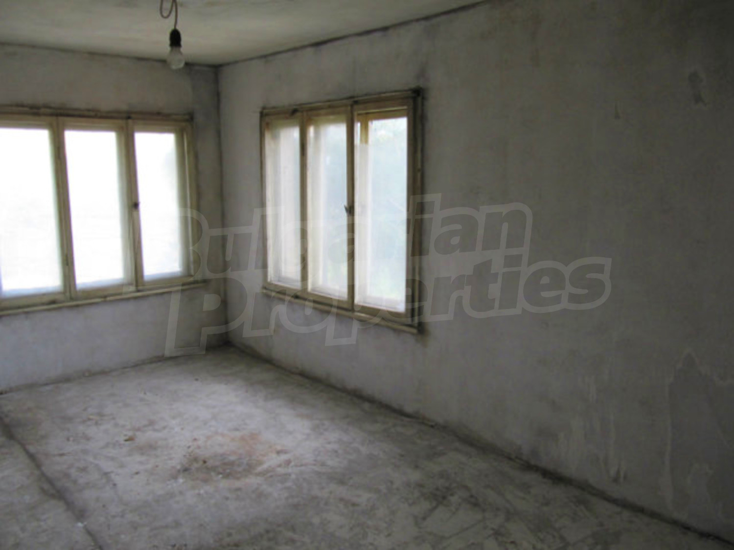 Gallery Picture 39