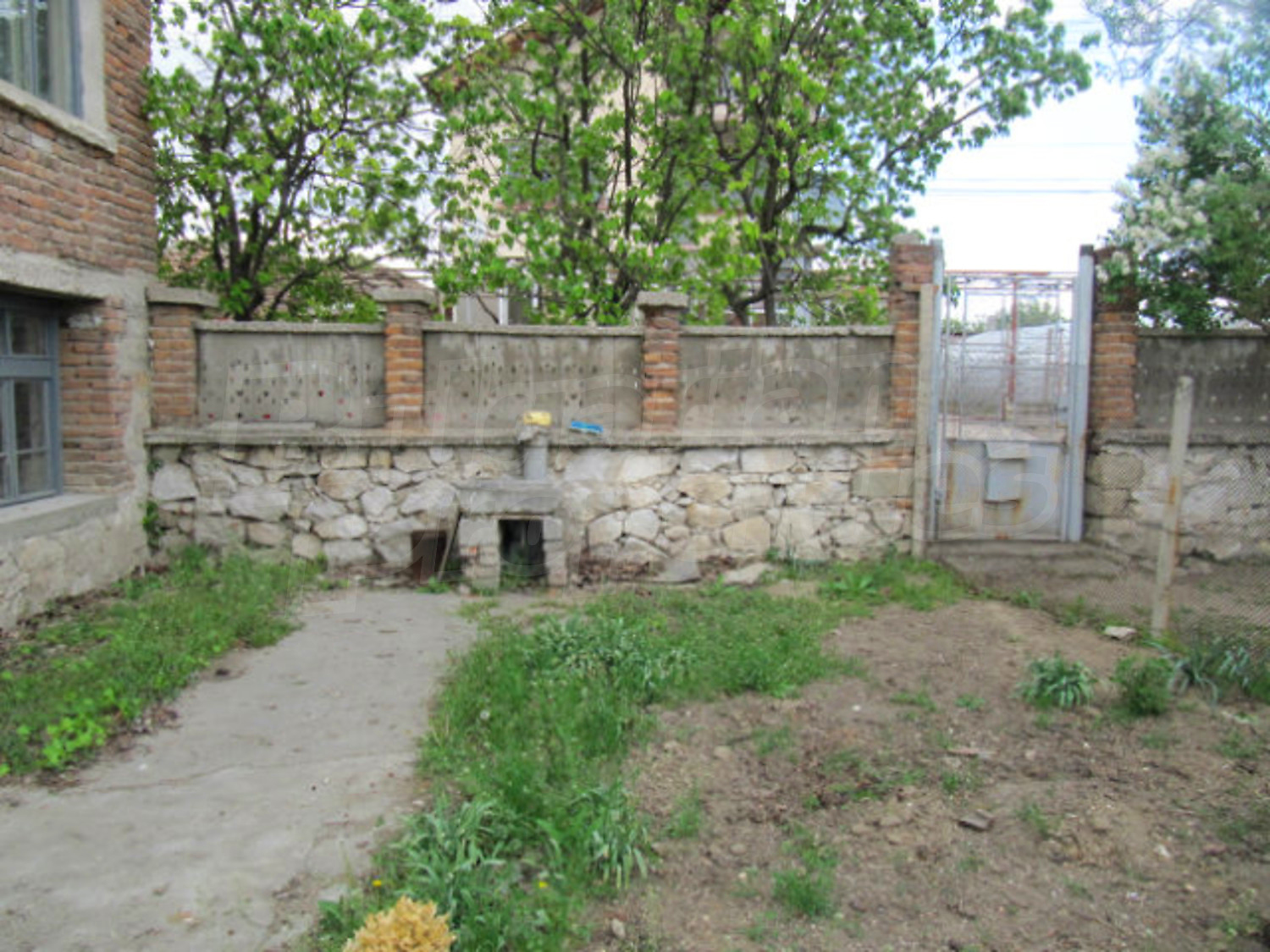 Gallery Picture 5