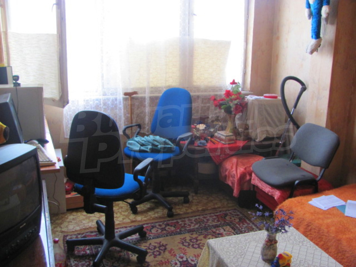 Gallery Picture 7