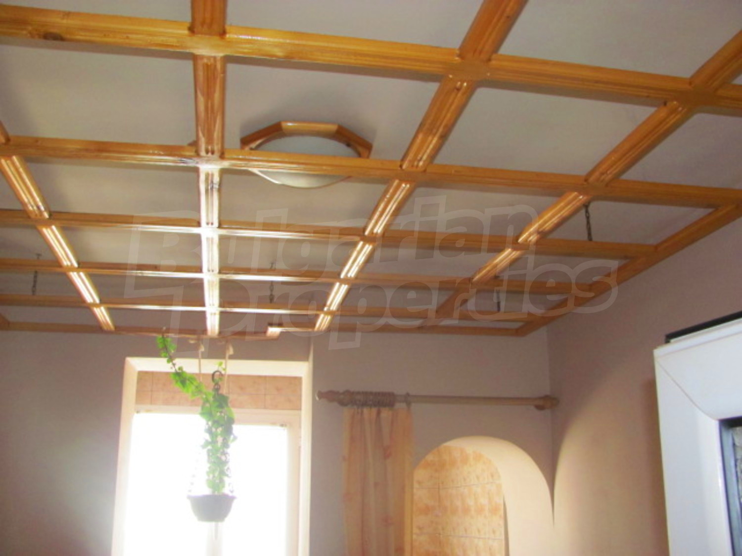 Gallery Picture 13