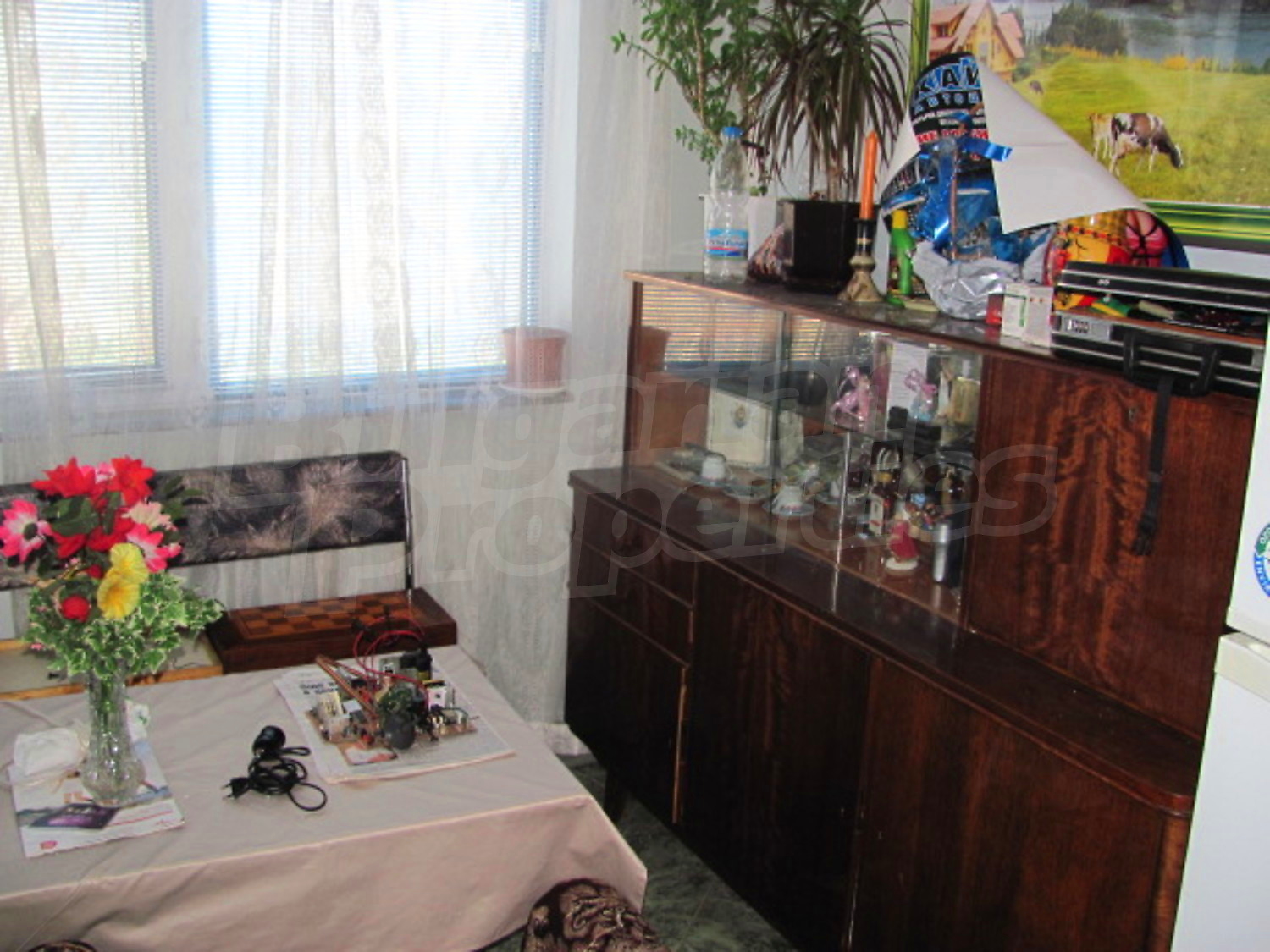 Gallery Picture 6