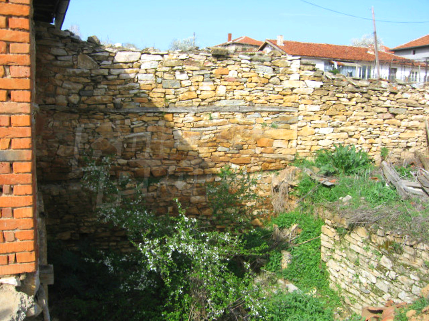 Gallery Picture 10