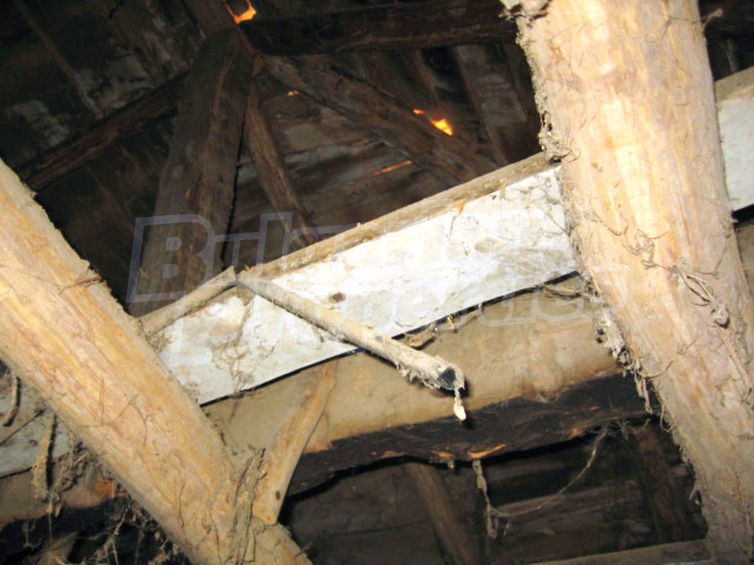Gallery Picture 14