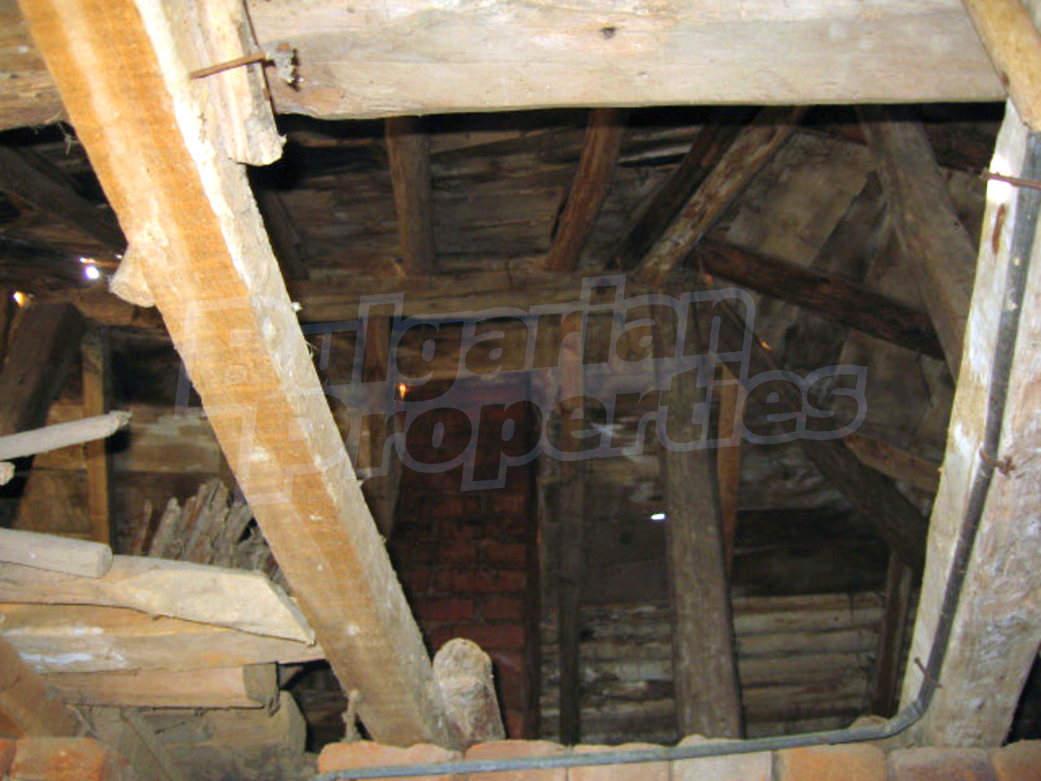 Gallery Picture 15