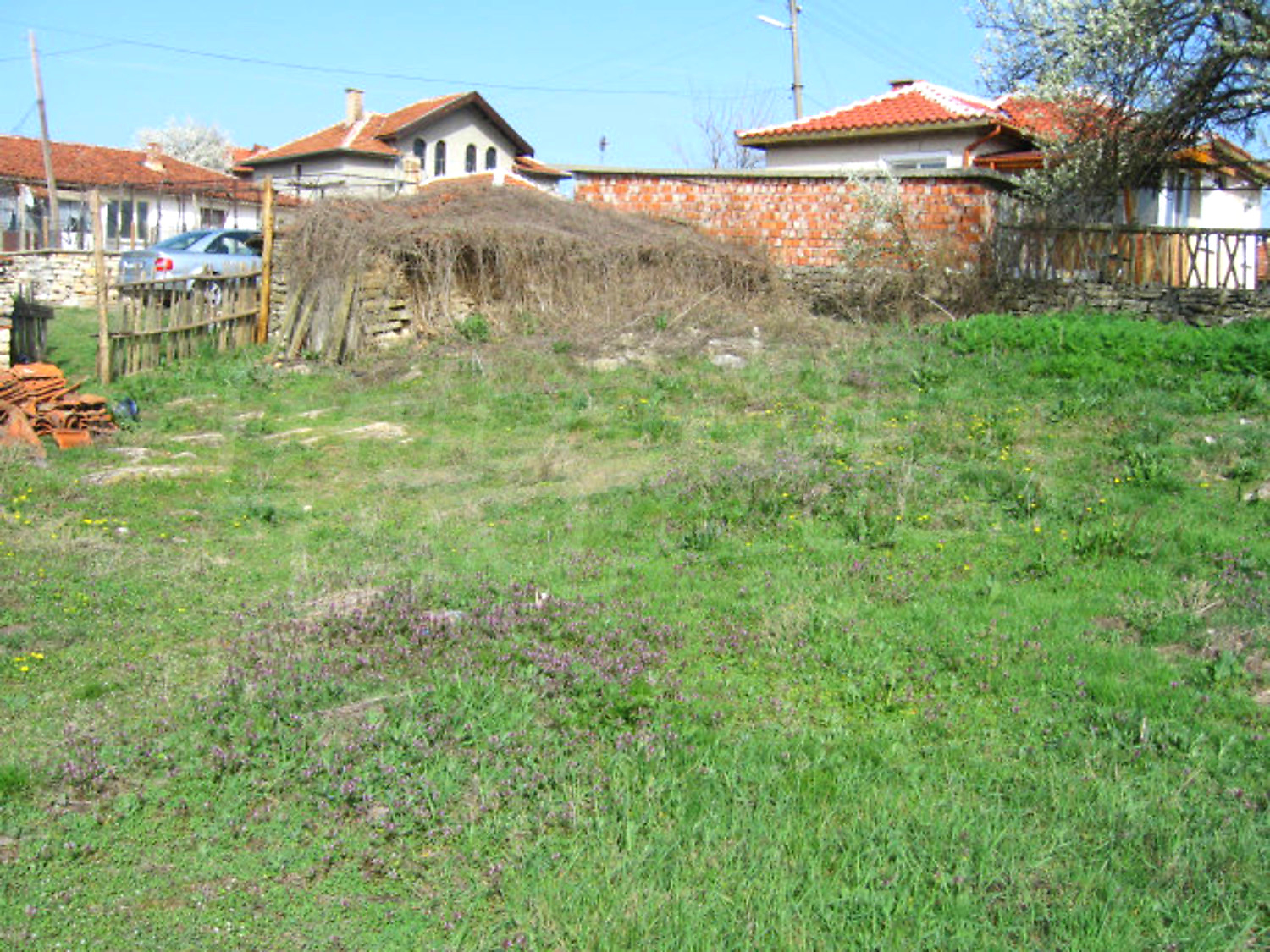 Gallery Picture 17