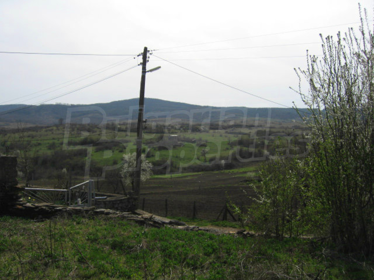 Gallery Picture 6